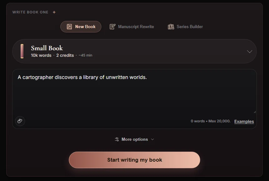 ImagineYourBook’s book brief and length selection. Example project.
